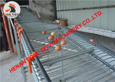 China Layer Poultry Farm Hot Galvanized Cage & Chicken Cage & Battery Chicken Coop & Layer Cage & Laying Hen Cage in Bolivia for sale