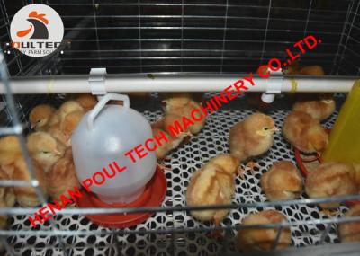 China Poultry Farming Battery Day Old Chicken Cage Coop for Brooding Room with Automatic Feeding & Drinking System in Shed for sale