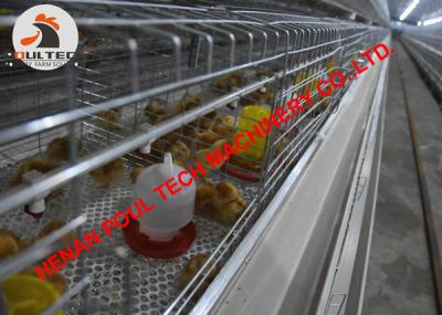 China Poultry Farm Hot Galvanized Cage & A Type Pullet Cage & Battery Small Chick Cage Coop for Brooding Room with 162 Birds for sale