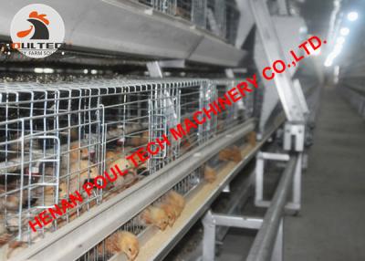 China Poultry Farming Hot Galvanized Chicken Cage & Small Chicken Cage & Brooding Chicken Coop with Automatic Feeding System for sale