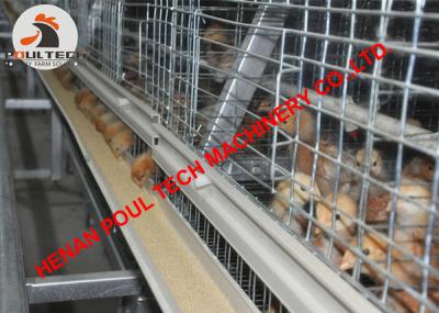 China Livestock Poultry Farming Hot Galvanized Cage & Battery Small Chicken Cage for Chicken Shed with Feeding&Drinking System for sale