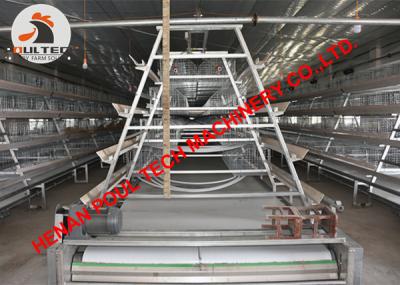 China Poultry Farming Hot Galvanized Chicken Cage & Automatic Baby Chicken Cage Equipment in Chicken Shed with 162 Birds for sale