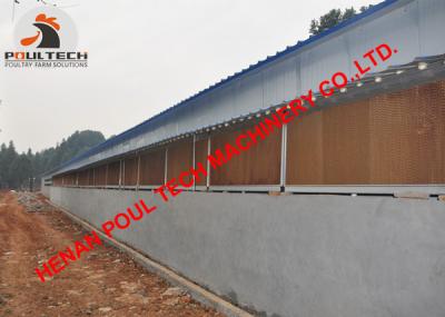 China Poultry Farming Hot Galvanized Cage & H Type Battery Layer Chicken Cage & Chicks Cage in Chicken Shed in South Africa for sale