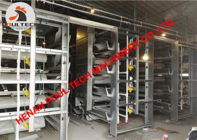 China Kazakhstan Poultry Farm Equipment Full Battery Chicken Cage & Small Layer Cage with Automatic Feed Machine 50,000 Birds for sale