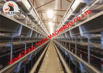 China Russia Poultry Farm Equipment - Full Automatic H Type Small Chicken Cage & Pullet Chicken Cage with 50,000 Birds for sale