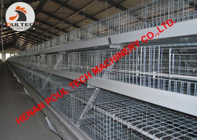 China Poultry Farm Automatic Broiler Chicken Cage System with Automatic Feeding & Drinking System for sale