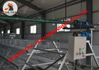 China Poultry Farming A Type Battery Broiler Chicken Cage with Automatic Feeding & Drinking System for Chicken House for sale