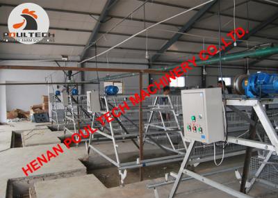 China Broiler Poultry Farming A Type Broiler Chicken Cage with Automatic Feeding & Drinking System for Chicken House for sale