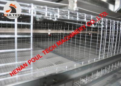 China Poultry Farm Battery Broiler Chicken Cage & Broiler Cage with 120 Birds with Automatic Feed Machine for sale