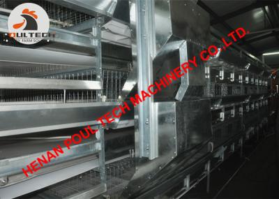 China Poultry Farming Battery Chicken Cage & Broiler Cage with 108 Birds with Automatic Manure Clean Machine for sale