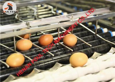 China 304 Stainless Steel Poultry Farming Automatic Egg Grading Machine & Egg Sorting Machine for Sale 3000 pcs/Hour for sale