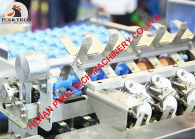 China Automatic Chicken Egg Grading Machine & Automatic Chicken Egg Packing Machine Used in Poultry Farm for Sale for sale