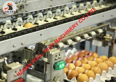 China 5000 pcs/Hour Egg Production - Chicken Egg Grading Machine & Egg Sorting Machine in Poultry Chicken Farming for sale