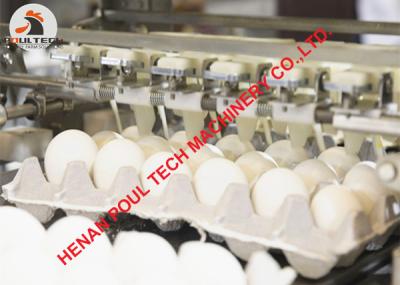 China 5000 eggs/Hour Egg Production - Automatic Chicken Egg Grading Machine & Egg Sorting Machine in Poultry Chicken Farming for sale