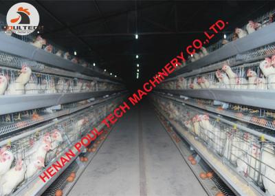 China Sale Hot Galvanized Cage Battery Layer Breeder Chicken Cage Coop & Battery Hen Cage & Cock Cage for Chicken Farming for sale