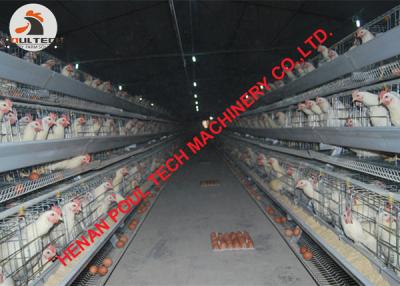 China Poultry Livestock Farming - Hot Galvanized Chicken Cage & A Type Battery Female Male Chicken Cage for Chicken House for sale