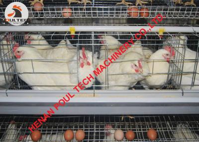 China Poultry Farm Male Breeder Cage Coop & Female Male Breeder Chicken Cage for sale