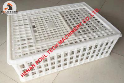 China Poultry Farming Plastic Poultry Transport Cage/Crate for Hatching Eggs & Plastic Live Chicken Transport Cage for sale