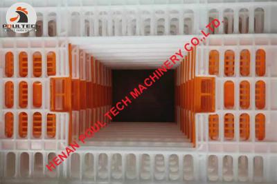 China Mexico Poultry Farming Plastic Poultry Transport Cage/Crate for Hatching Eggs & Plastic Live Chicken Transport Cage for sale