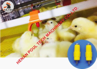 China Zimbabwe Poultry Farm Broiler Floor Raising System & Deep Litter System with Nipple Drinker Line in Chicken Shed for sale