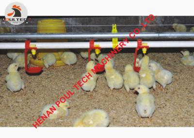 China Tanzania Poultry Farm Broiler Floor Raising System with Automatic Nipple Drinker Line&Feeding Pan System in Chicken Shed for sale