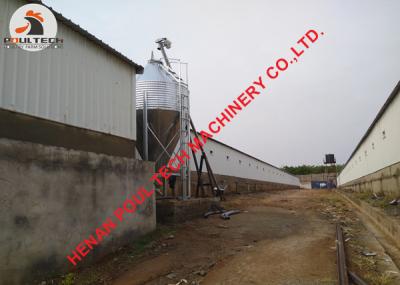 China Poultry Farm A Type Battery Layer Chicken Cage System with 120 Birds & Hot Galvanized Poultry Cage System for sale