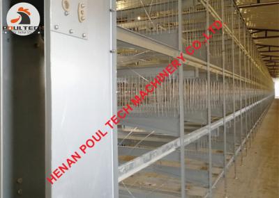 China Philippines Poultry Farm Automatic H Type Chicken Layer Cage with Automatic Feeding Machine for sale