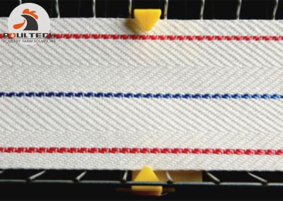 China Chicken Egg Collection Belt for Egg Collection Line Used in Layer Farming Polypropylene Material for sale