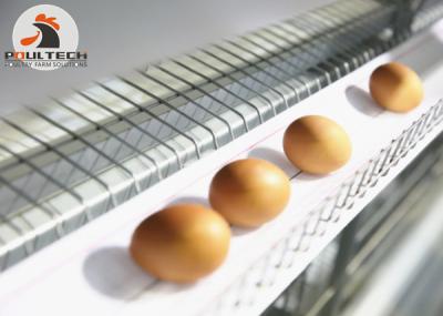 China Poultry Egg Collection Belt Used in Layer Farming Polypropylene Material for sale