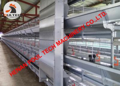 China Thailand Poultry Farming Battery H Frame Battery Broiler Chicken Cage with Automatic Feeding Machine 40000 birds/house for sale