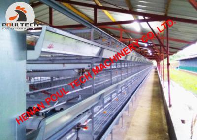 China Vietnam Poultry Farming Battery H Frame Battery Broiler Chicken Cage with Automatic Feeding Machine 30000 birds/house for sale