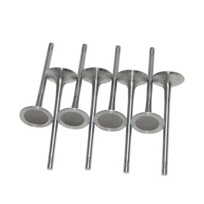 China PASSAT/CC/Q5/TIGUAN/A4/A6 factory directly sell car engine intake exhaust valve 06j109601a for passat cc tiguan for sale