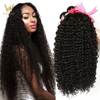 China Hot-selling Brazilian Kinky Curly Curly Hair Extensions Wholesale Curly WISHWIG Hair Bundles For Black Women for sale