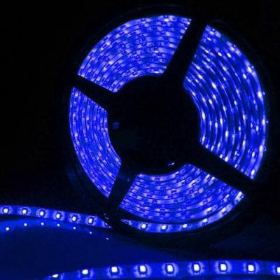 China 12V 60W Flexible Ribbon Lighting Strip Blue LED Strip Light for sale