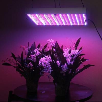 China 120W LED Grow Light for Flowering Plant and Hydroponics System for sale