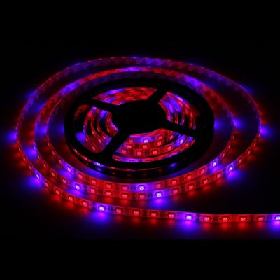 China SMD5050 Hydroponic Systems Led Plant grow light Waterproof Led Grow Strip Light for sale