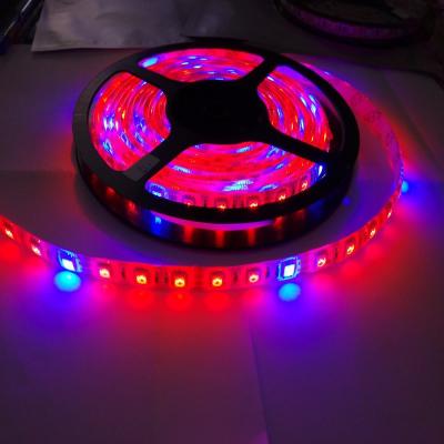 China 5:1 5 Red 1 Blue Full spectrum waterproof 60led/m 5050 Grow LED Flexible Strip Light for sale