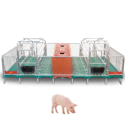 China Easy Management Factory Hog Stalls Solid Hog Rod Farrowing Crate Stall Hog Farrowing Crate for sale