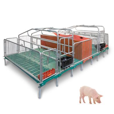 China Easy Sow Cage Farrowing Stalls Maker Farrowing Management Crates For Pig Farm for sale