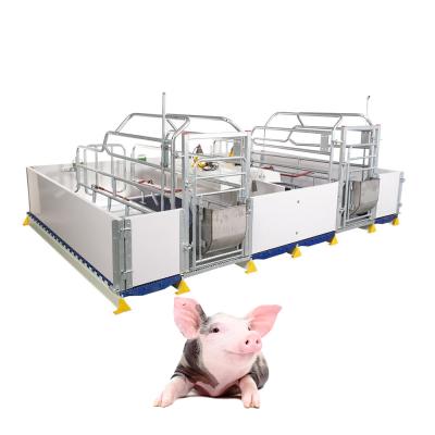 China Easy Install 2021 Farrowing Crates For Hog Sow And Piggy Stall Gestation Crate Pig for sale