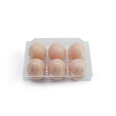 China Environmental Protection China Manufacturer Chicken Plastic Biodegradable Packaging Egg Carton Tray for sale