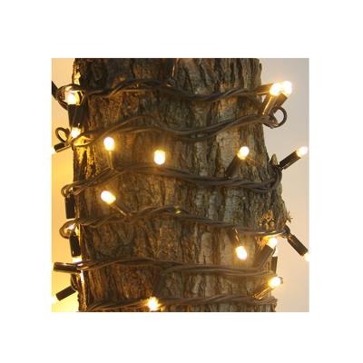 China Outdoor Hot Sale Party Decoration Function Decoration LED Electric String Light for sale