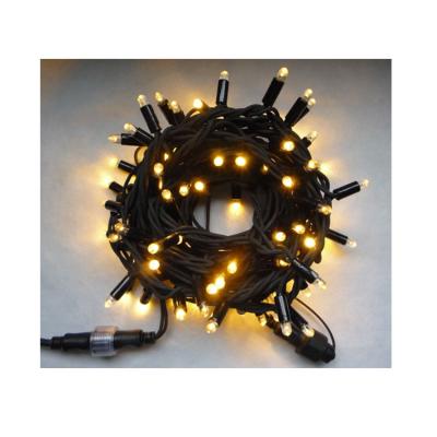 China Best Decoration Outdoor Selling Quality Christmas Lights Led String Fairy Led Light Strings for sale