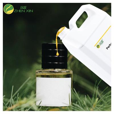 China Strong Scent Forest Fresh Fragrance Perfume Oil Original Oil For Perfume Making for sale