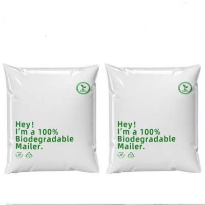 China 8 Colors Printing Biodegradable Poly Mailer For Environmentally-Friendly Shipping for sale