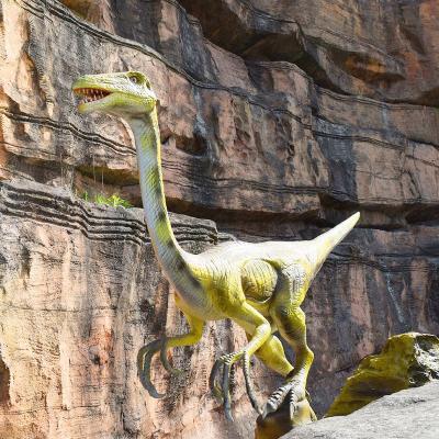 China Realistic Museum Dinosaur Customized Model For Sale for sale