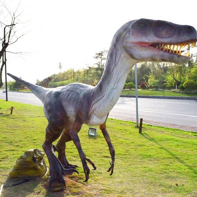 China Customized Animatronic Museum Dinosaur Model For Sale for sale