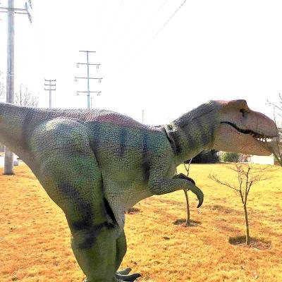 China Outdoor real museum realistic dinosaur costume customization on sale for sale