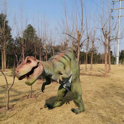 China Outdoor Museum Factory Direct Customized Realistic Dinosaur Costume for sale