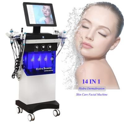 China 14 In 1 Hydro Dermabrasion Machine Skin Care Hydro Facial Machine for sale